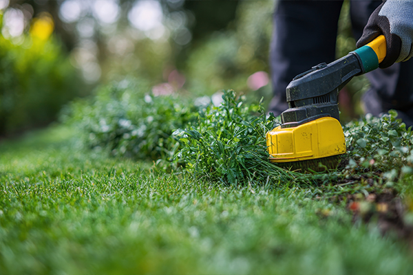 Yard Maintenance Services