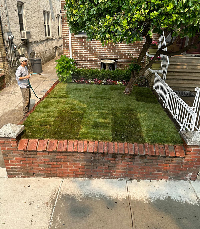 Experience and Excellence